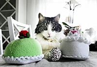 DEJE, SWEDEN 2015-04-29
Melvin the cat is a notori