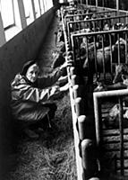 ARKIV 19901008 - Barnboksfцrfattarinnan Astrid Lin