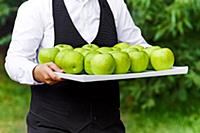 The waiter offers a green apple on a tray. Waiter 