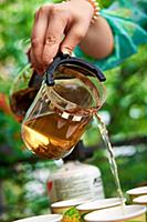 Pouring green tea on nature, outdoor.