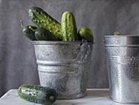 Freshly Washed Kirby Cucumbers Piled in a Galvaniz