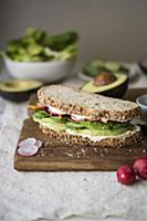 Avocado vegetable sandwich