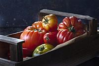 Various types of tomatoes in crate