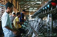 Ферма по разведению тутового шелкопряда (Angkor Si