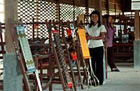 Ферма по разведению тутового шелкопряда (Angkor Si