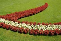Зальцбург, Австрия. На фото - сад Mirabell Garden.