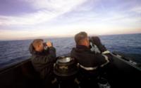 Атомная подводная лодка 'Касабьянка' принадлежала 