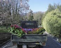 У швейцарской границы, на берегу озера Маджоре (La