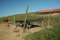 Штирия (Styria) - один из австрийских винодельческ