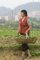 Город Чонсинь (Chongqing) с населением 31 442 300 
