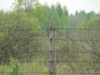 Тематическая подборка фотографий о путешествии в Ч