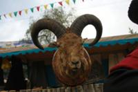 Республика Кабардино-Балкария - край заоблачных сн