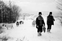 Подборка черно-белых фотографий сельской жизни в о