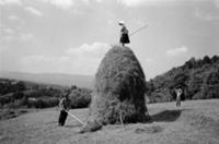 Подборка черно-белых фотографий сельской жизни в о