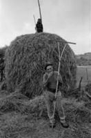 Подборка черно-белых фотографий сельской жизни в о