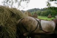 Марамуреш - одна из самых отдаленных от столицы, г