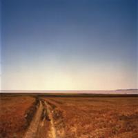 От Стамбула до Одессы, 2009. На фото: 'розовое озе