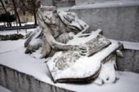 Рождество на площади Карлсплац в Вене, Австрия. На