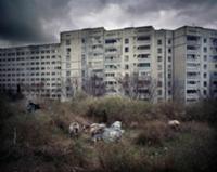 Побережье Чёрного моря, Украина, декабрь 2008. На 