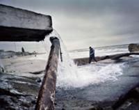 Побережье Чёрного моря, Украина, декабрь 2008. На 