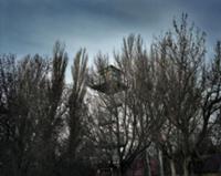 Побережье Чёрного моря, Украина, декабрь 2008. На 