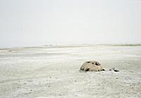 Серия фотографий о 4-недельном путешествии по США,