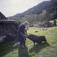 Серия документальных фотографий о повседневной жиз