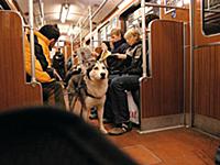Фоторепортаж о пассажирах немецкого метро, Берлин,