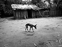 Мир Габриэля Гарсиа Маркеса в эксклюзивном фотореп