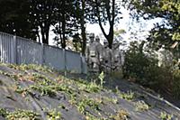 Фотографии французских солдат в натуральную величи