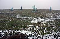 Фотографии французских солдат в натуральную величи