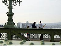 Hungary / Budapest / 2014 / The Liberty Bridge (Sz