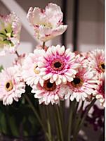 Hungary / Budapest / 2014 / Flower and design shop