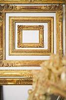 USA / California / San Francisco / The gold standa