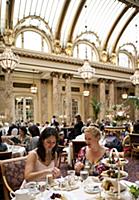 USA / California / San Francisco / The gold standa