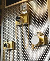 USA / California / San Francisco / The gold standa