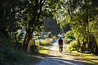 Sweden / Vastra Gotaland / Koster Islands / 2014 /