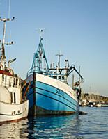 Sweden / Vastra Gotaland / Grebbestad / 2014 / Vie