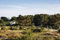 Sweden / Vastra Gotaland / Koster Islands / 2014 /