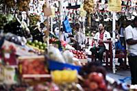 United Arab Emirates / Dubai / 2014 / Seller at th