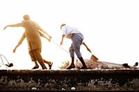 United Arab Emirates / Dubai / 2014 / Workers pull