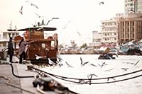 United Arab Emirates / Dubai / 2014 / A local lady