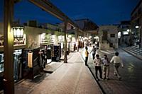 United Arab Emirates / Dubai / 2014 / The main str