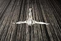 United Arab Emirates / Dubai / 2014 / Diving sculp
