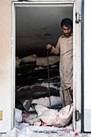 United Arab Emirates / Dubai / 2014 / Worker on a 