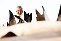 United Arab Emirates / Dubai / 2014 / Seller and s