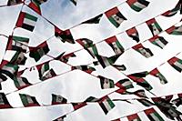 United Arab Emirates / Dubai / 2014 / Emirates fla