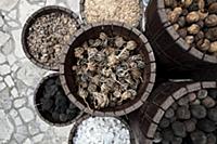 United Arab Emirates / Dubai / 2014 / Spices on th