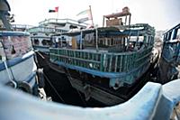 United Arab Emirates / Dubai / 2014 / Dhows on the