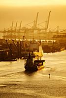 USA / Florida / Miami / 2009 / The docks of the Do